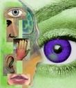 Unsere Grundlagen & Methoden: NLP - Das neurolinguistische Programmieren ist ein psychologisches Kommunikationsmodell bezüglich Wahrnehmung & Verhalten - Die Sinnesorgane zur Wahrnehmung - The Good Solution GmbH - www.the-good-solution.com